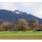Schloss Weitenburg am 01.12.2013