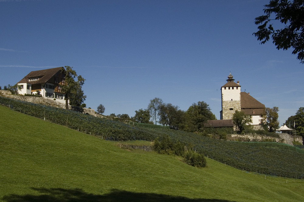 Schloss Werdenberg