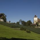 Schloss Werdenberg