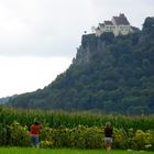 Schloss Werenwag