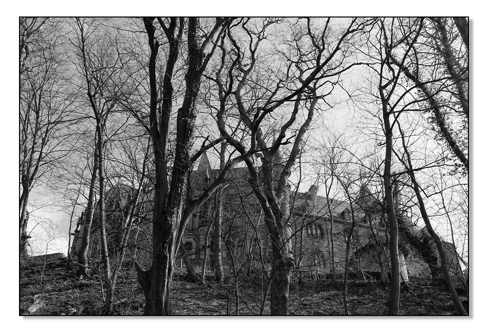 Schloss Wernigerode