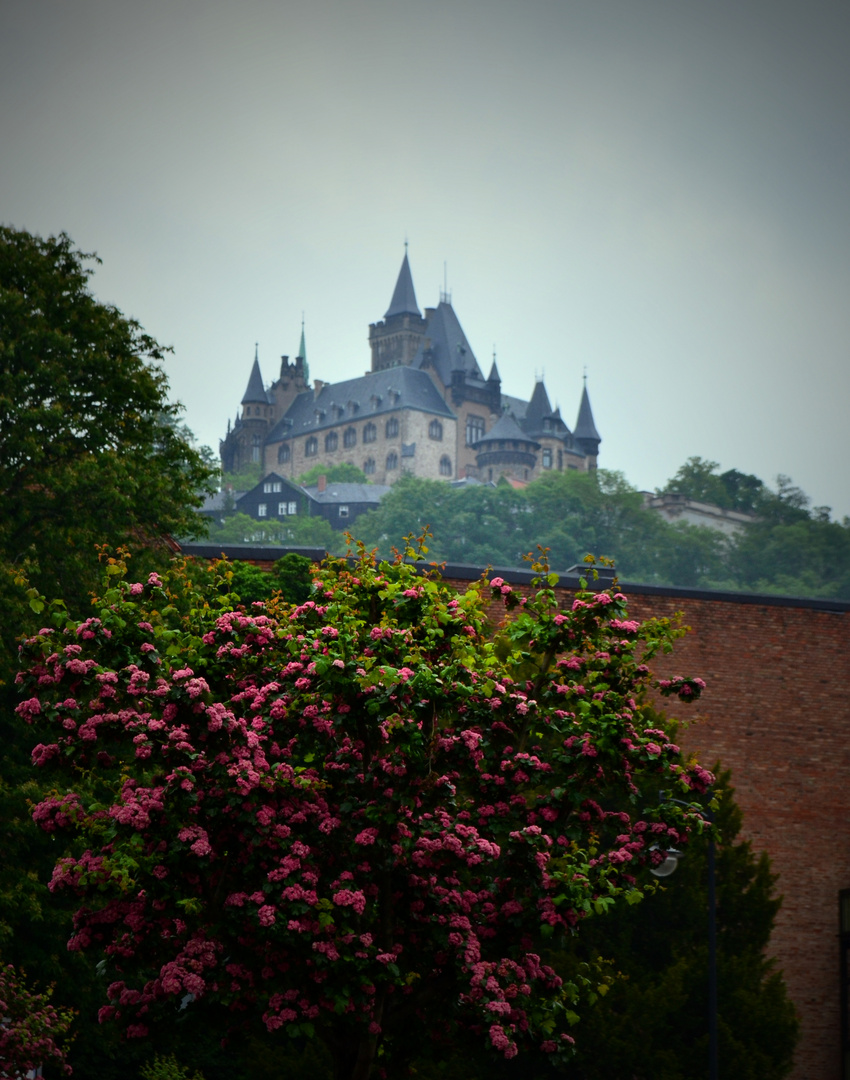 Schloss Wernigerode