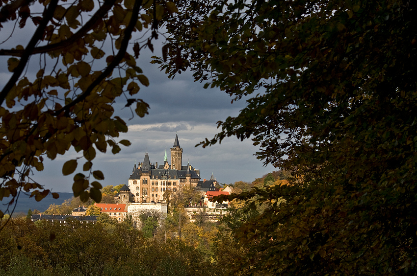 Schloß Wernigerode im Blättermantel