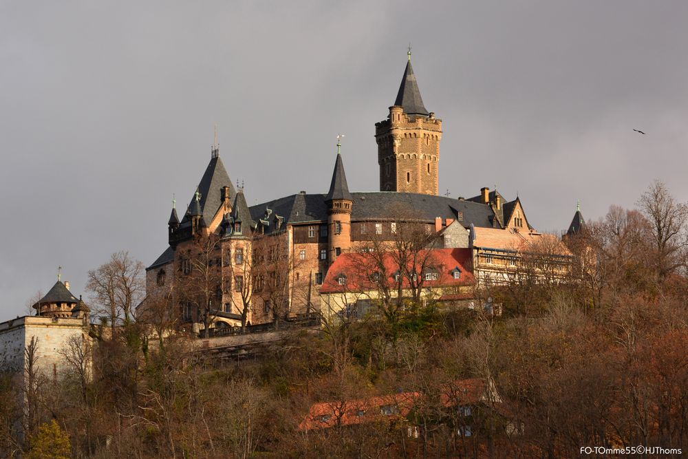 Schloß Werningerode im November