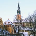 Schloss Wesenstein an einem eiskalten Februarmorgen...