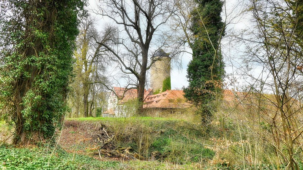 Schloss Westerburg im Harz ...