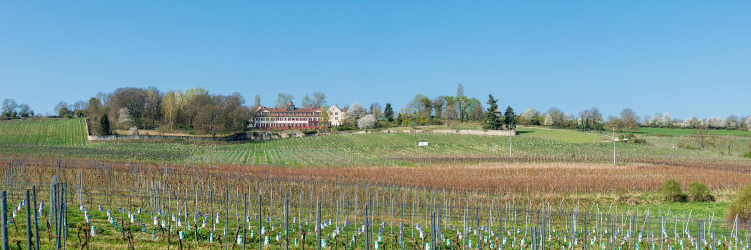 Schloss Westerhaus (1)