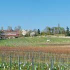 Schloss Westerhaus (1)