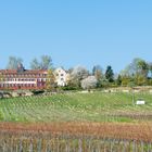 Schloss Westerhaus (3)