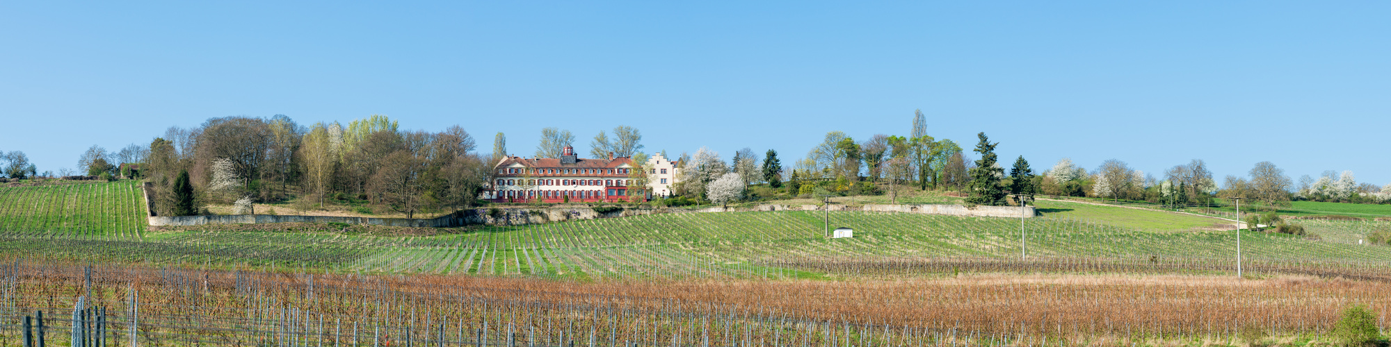 Schloss Westerhaus (3)