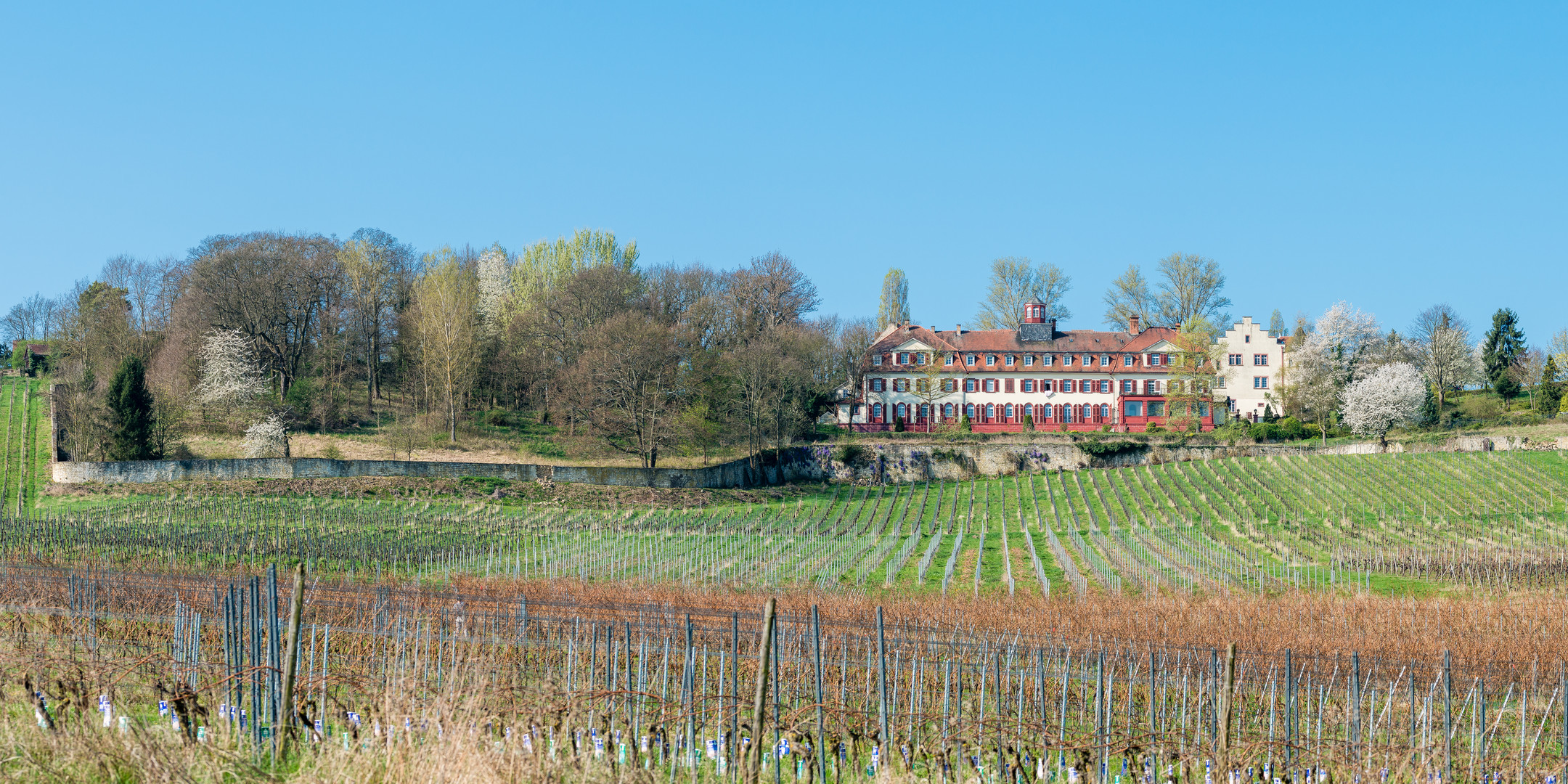 Schloss Westerhaus (7)