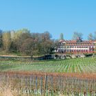 Schloss Westerhaus (7)