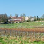 Schloss Westerhaus (8)