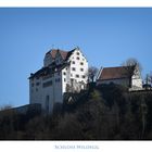 Schloss Widegg