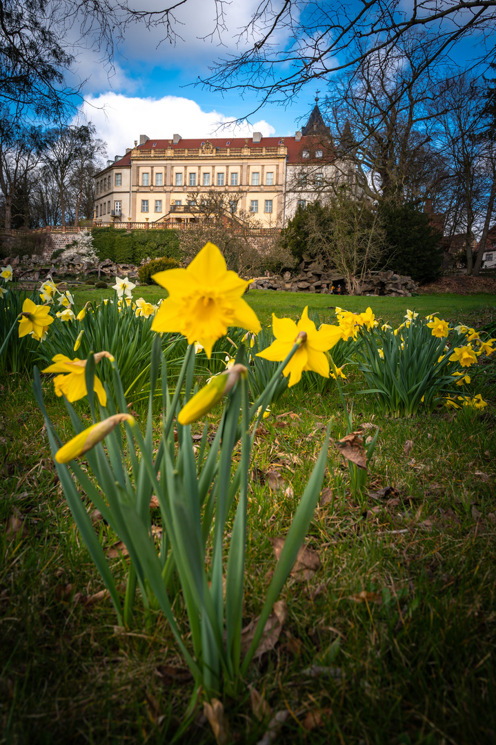 Schloss Wiesenburg im Frühling