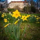 Schloss Wiesenburg im Frühling