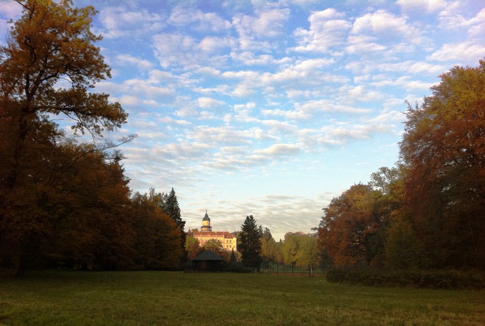 Schloss Wiesenburg - von den Wiesen aus gesehen ...