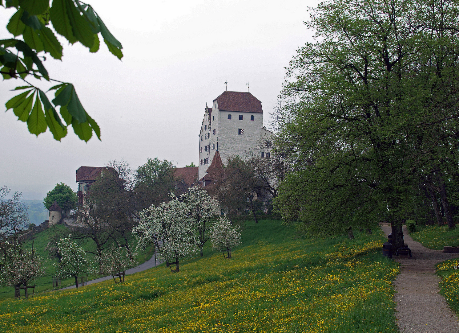 Schloss Wildegg