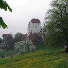 Schloss Wildegg