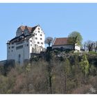 Schloss Wildegg.