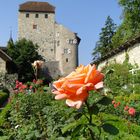 Schloss Wildegg ( CH )