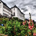 Schloss Wildenfels