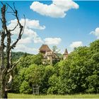 Schloss Wildenstein 