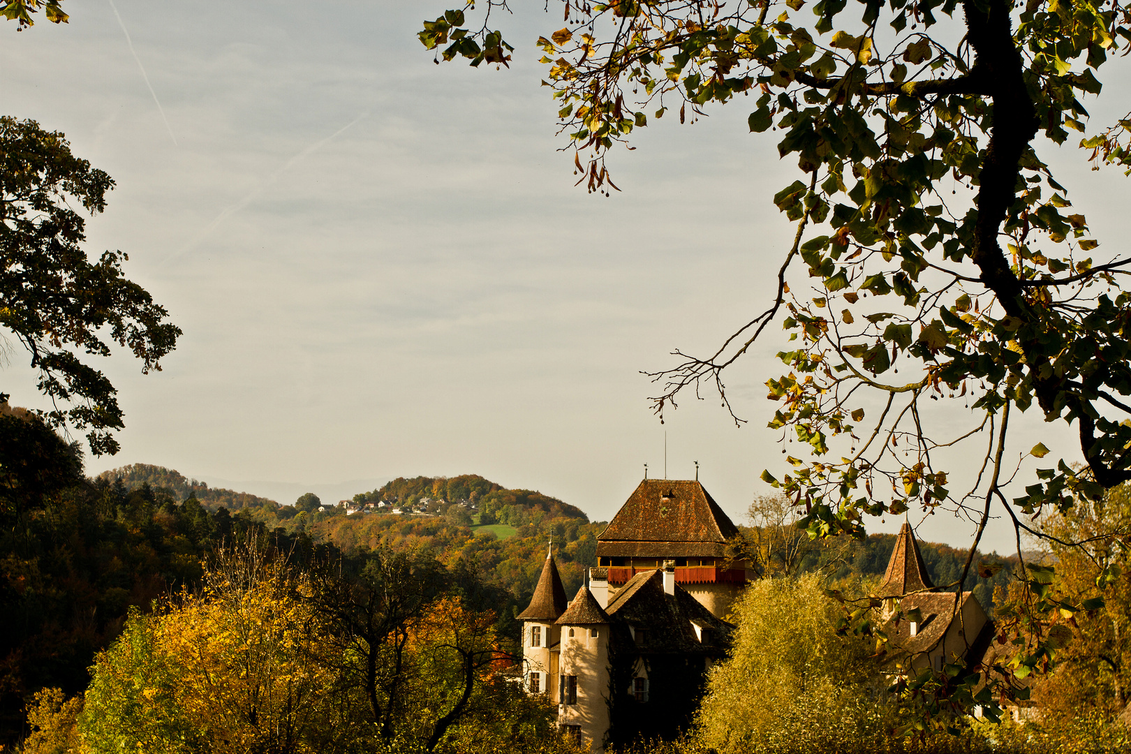 Schloss Wildenstein