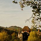 Schloss Wildenstein