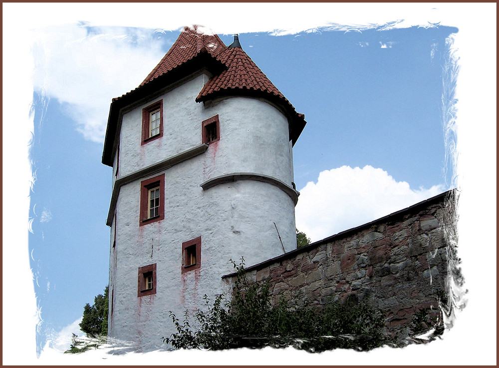 Schloss Wilhelmsburg 1