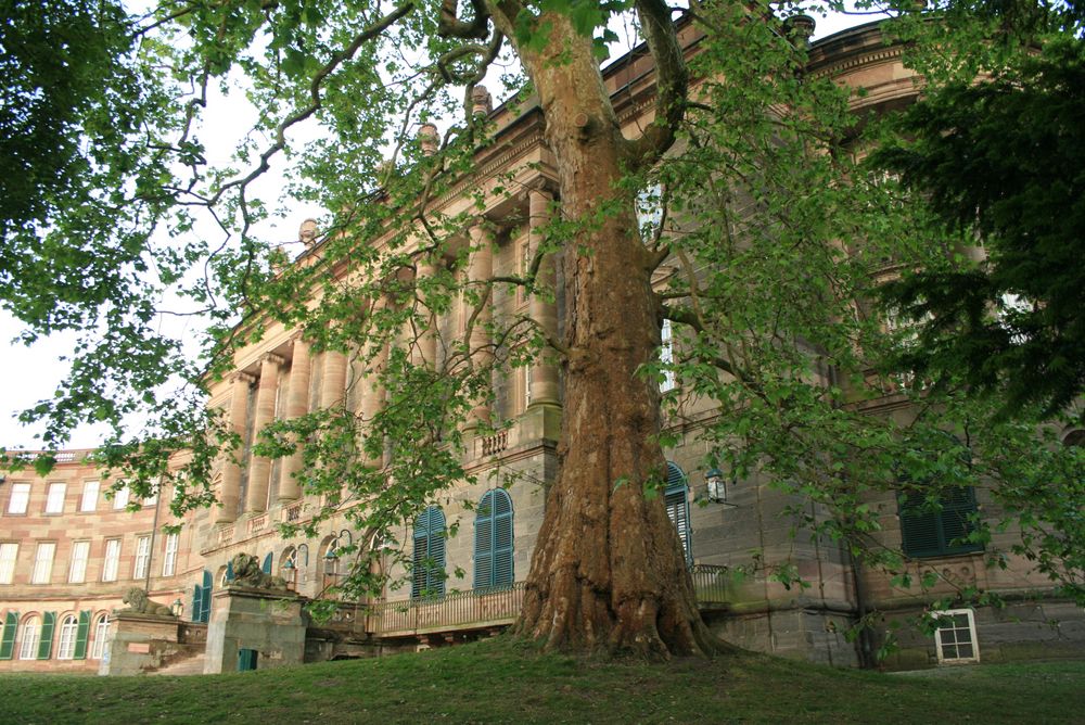 Schloss Wilhelmshöhe