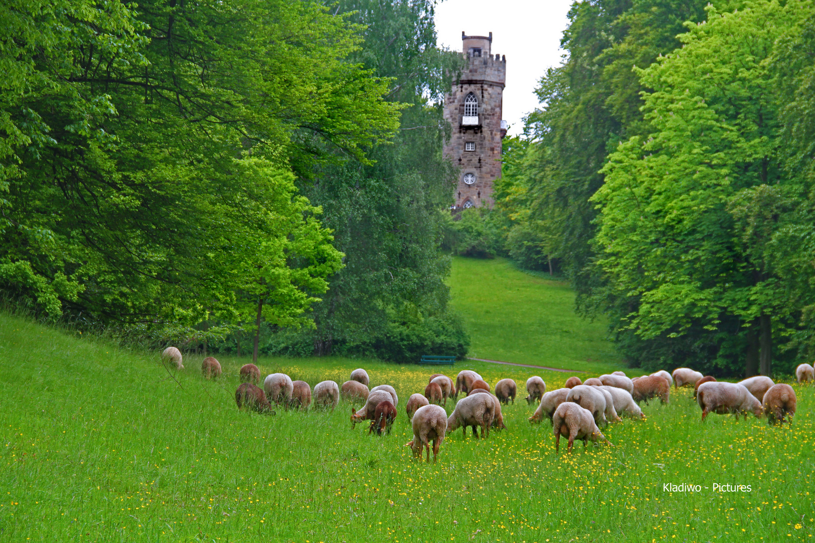 Schloss Wilhelmsthal 07