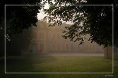 Schloss Wilhelmsthal im Nebel