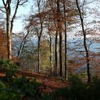 Schloss Wiligrad - Wanderweg