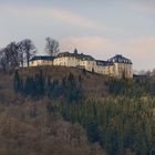 Schloss Wittgenstein im Frühling