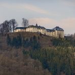 Schloss Wittgenstein im Frühling