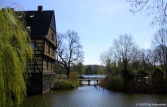 Schloss Wittringen in Gladbeck (1)