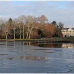 Schloss Wörlitz im Winter