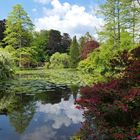 Schloss Wolfsgarten: Der Teich als Augenweide