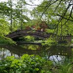 Schloss Wolfsgarten: Die Brücke 02