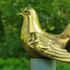 Schloss Wolfsgarten: Goldene Tauben um das Prinzessinnenhaus