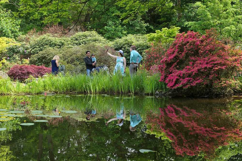 Schloss Wolfsgarten: Teich – Selfies