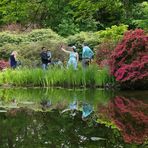 Schloss Wolfsgarten: Teich – Selfies