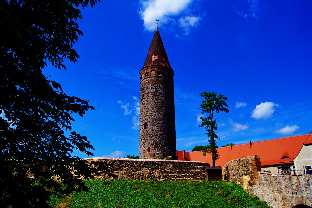 Schloss Zörbig 2011