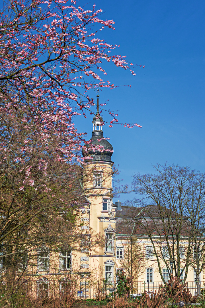 Schloss zu Oldenburg