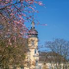 Schloss zu Oldenburg