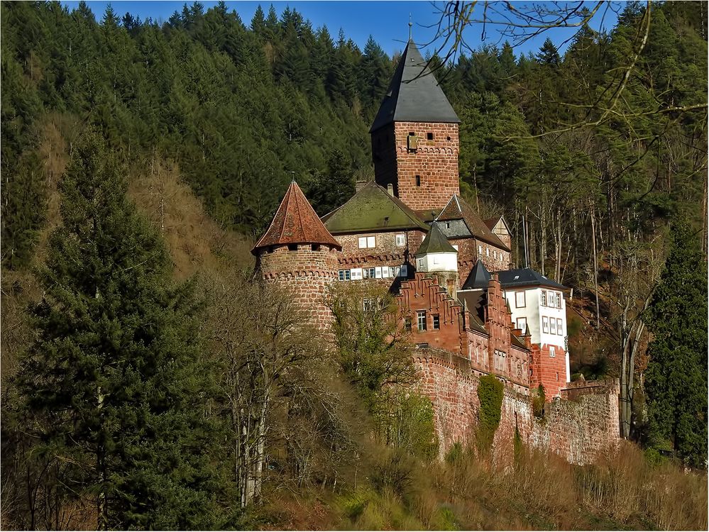 Schloss Zwingenberg Foto & Bild architektur, kultur, neckar Bilder