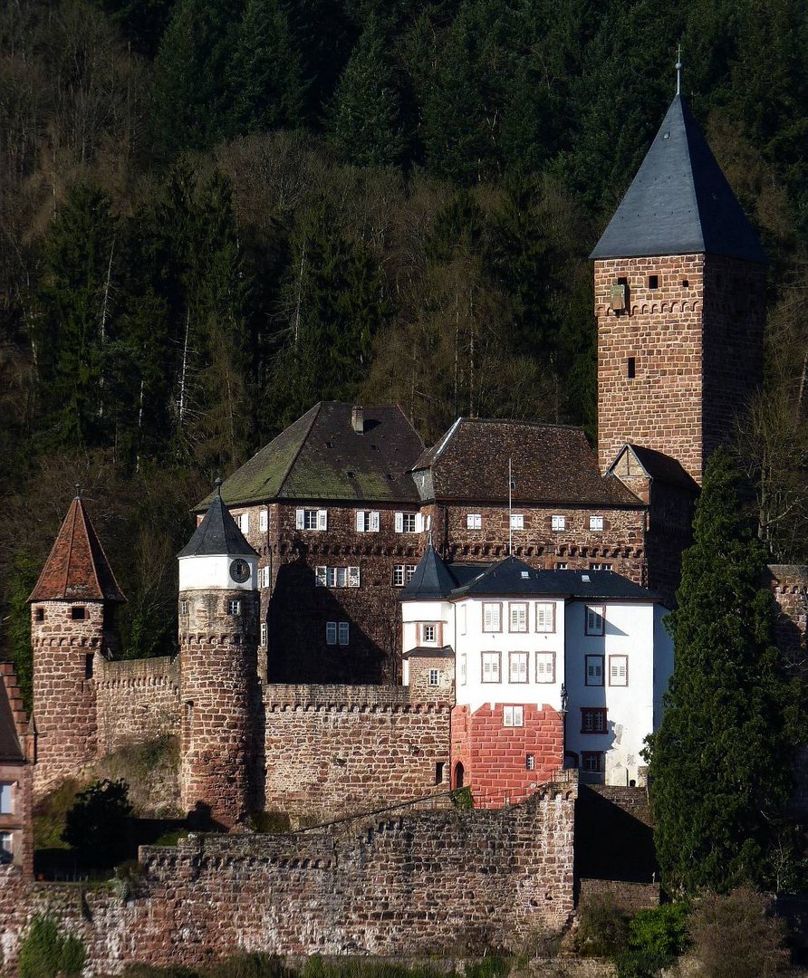 Schloss Zwingenberg 2