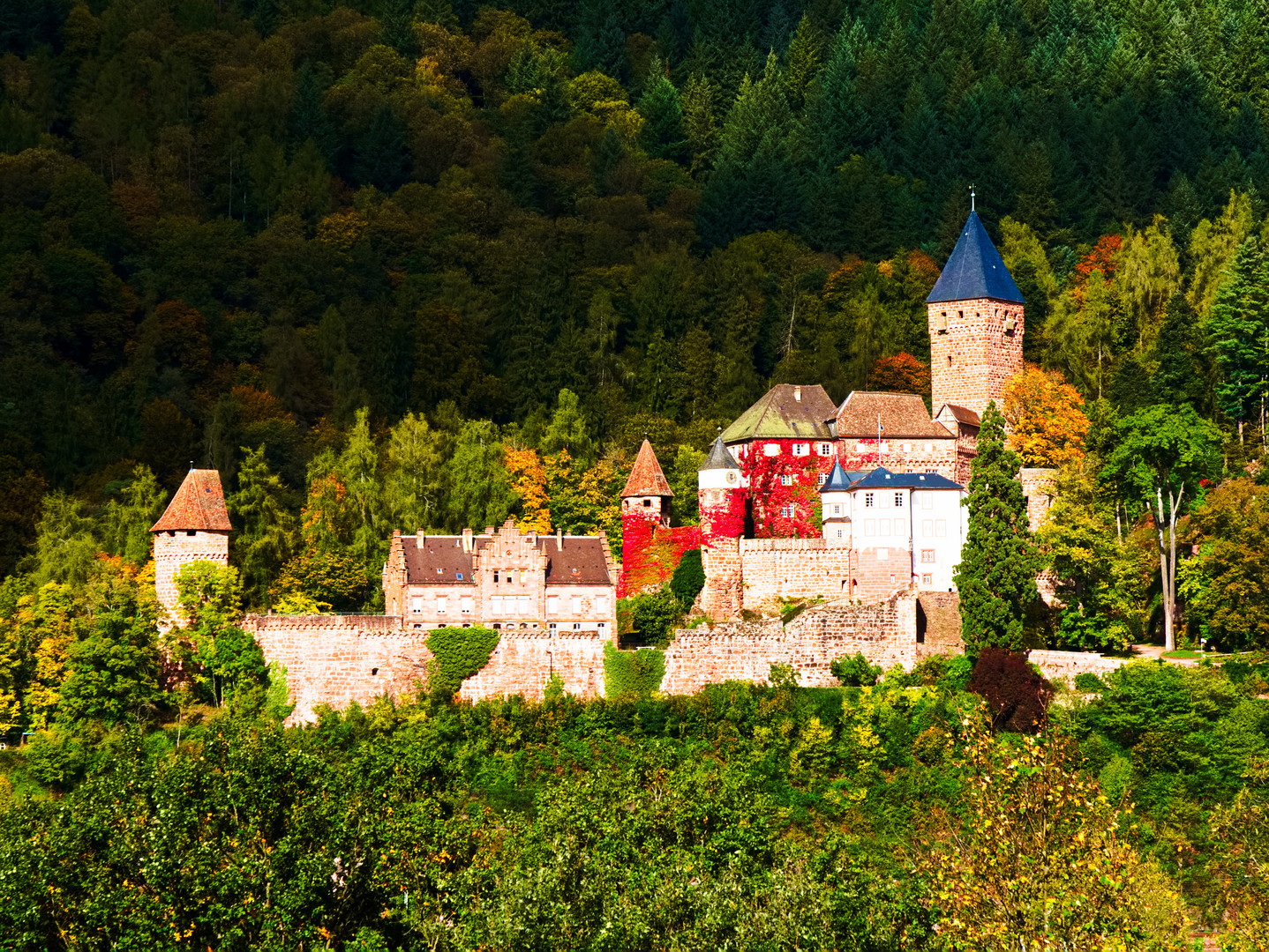 Schloß Zwingenberg am Neckar