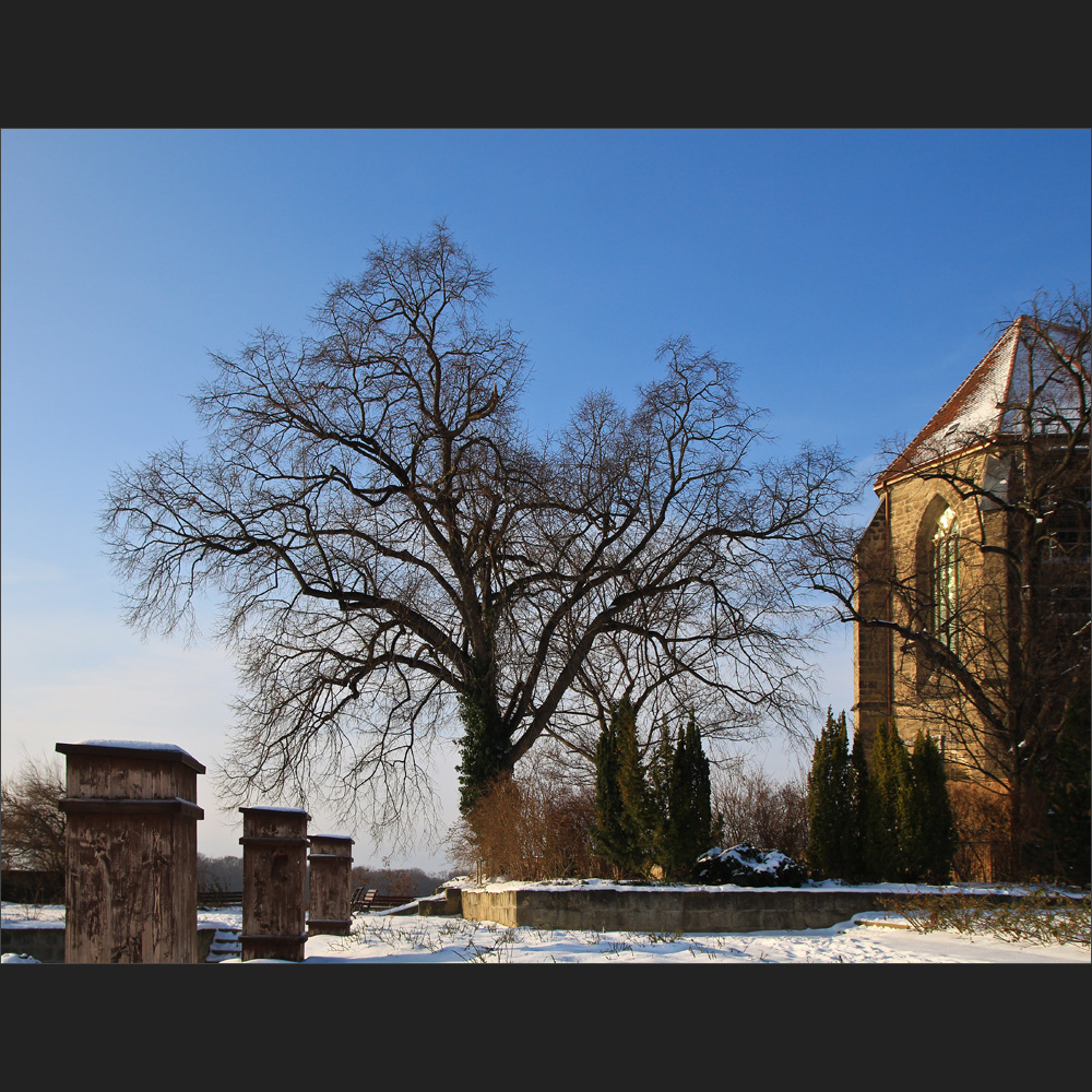 Schloßberg mit Stiftskirche